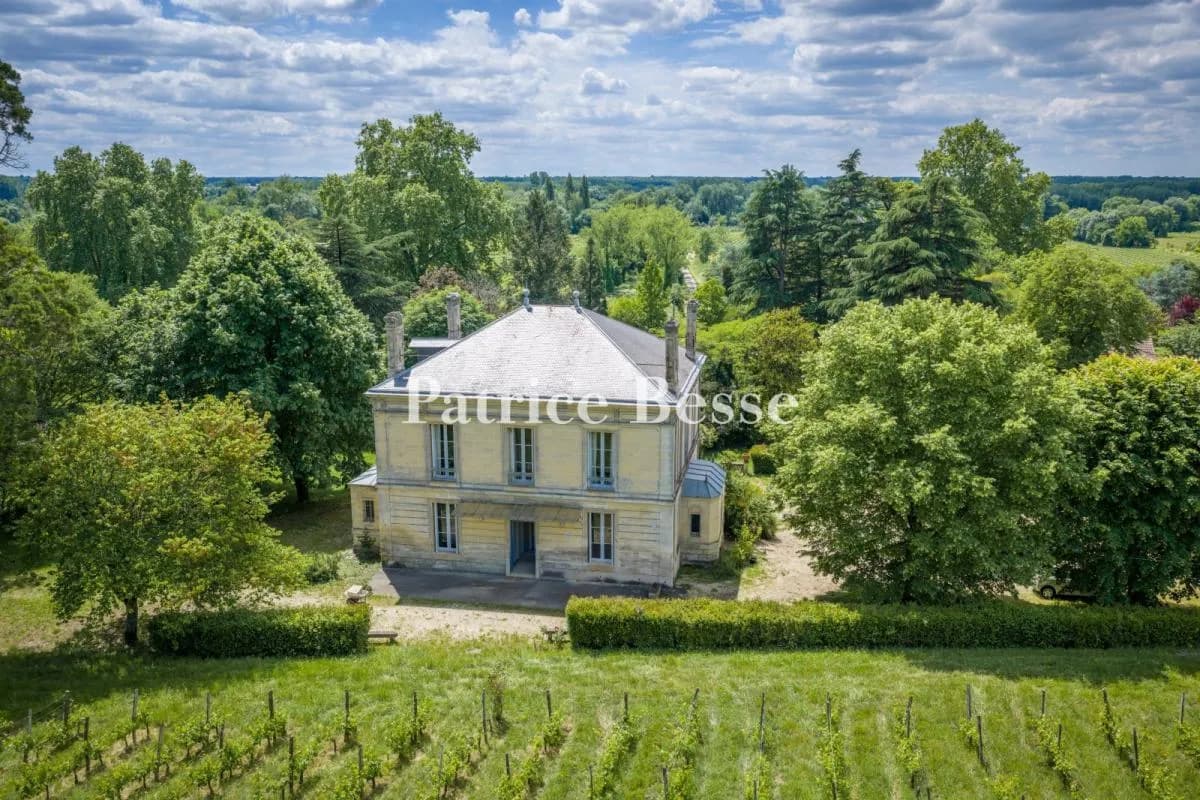 Elegant 19th Century Château With Vineyard And Stone Outhouses 3