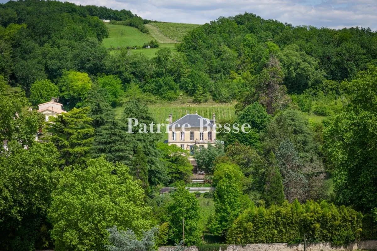Elegant 19th Century Château With Vineyard And Stone Outhouses 4