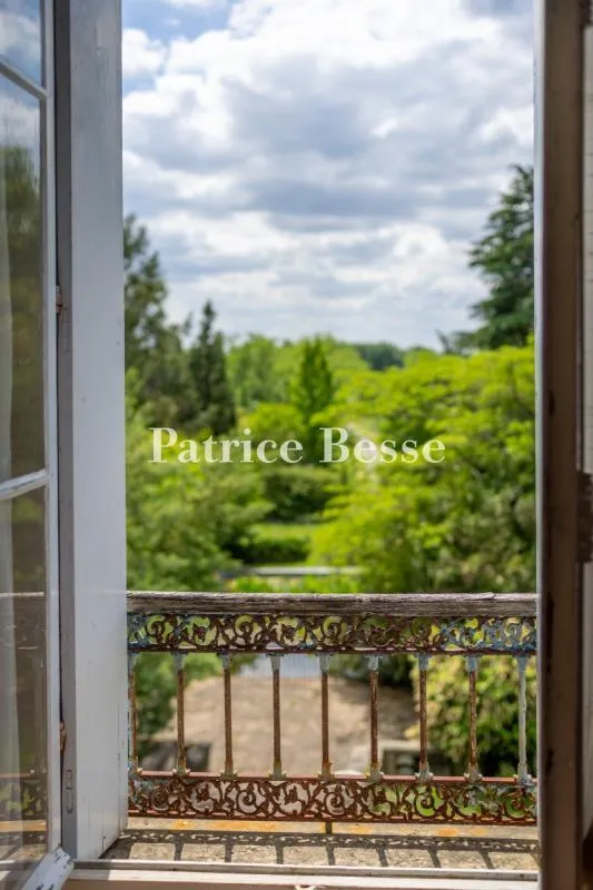 Elegant 19th Century Château With Vineyard And Stone Outhouses 5
