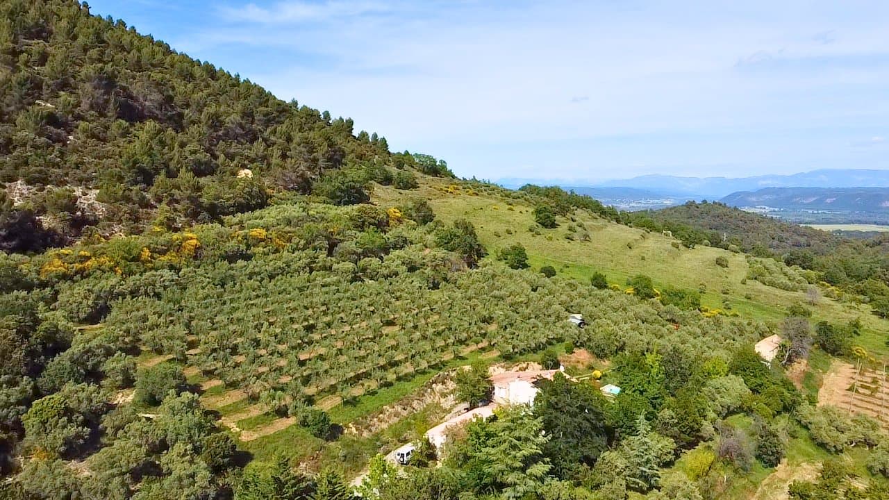 Exceptional Property With Panoramic Views And 800 Productive Olive Trees 2