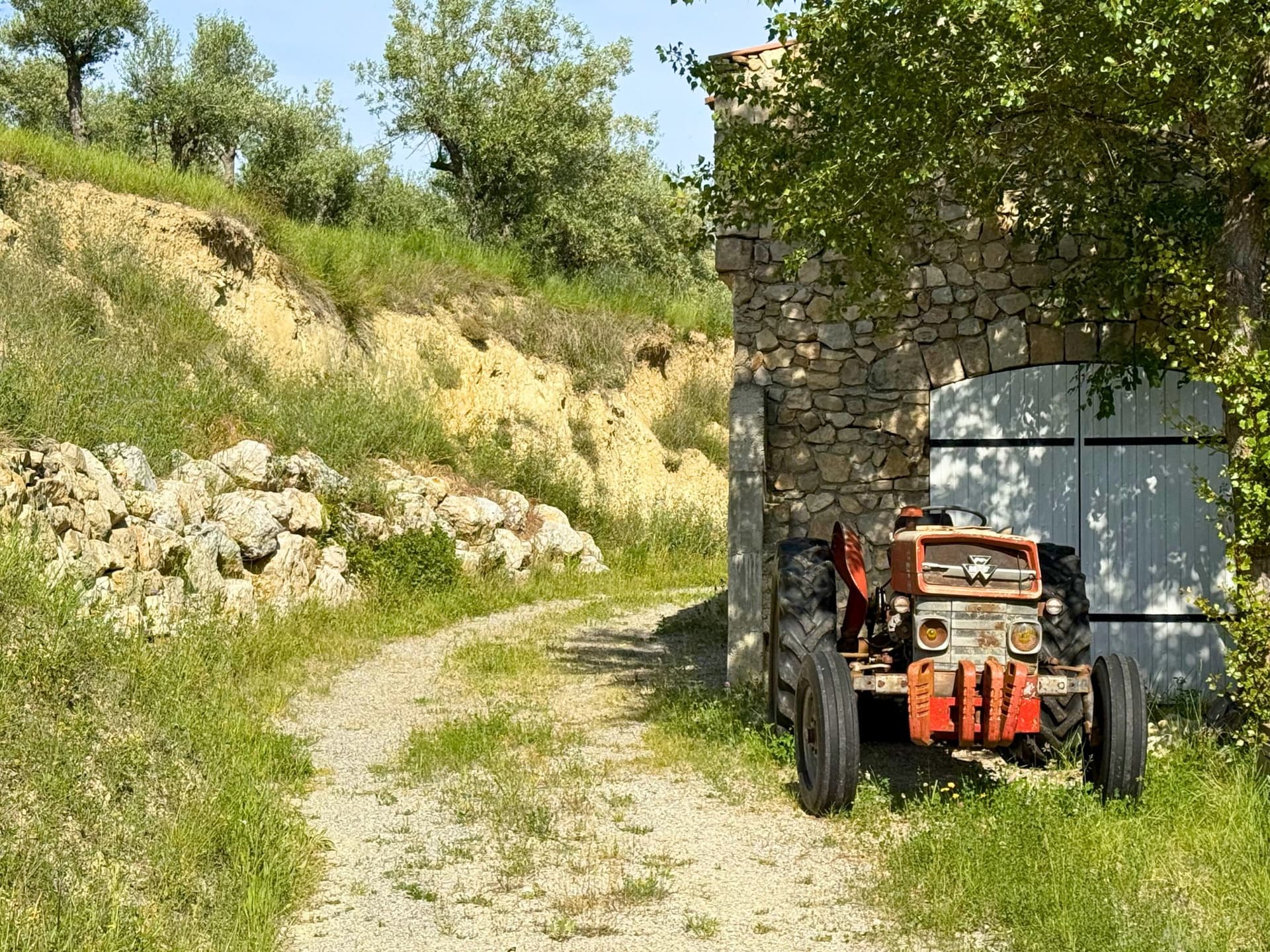 Exceptional Property With Panoramic Views And 800 Productive Olive Trees 3