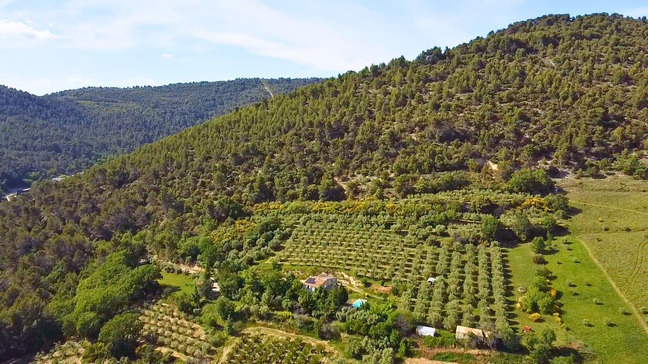 Exceptional Property With Panoramic Views And 800 Productive Olive Trees 5