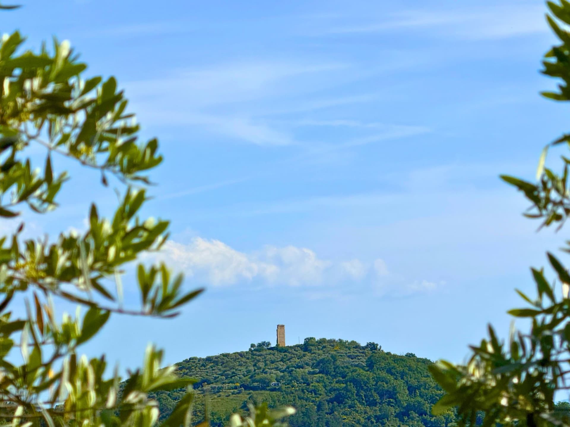 Exceptional Property With Panoramic Views And 800 Productive Olive Trees 5