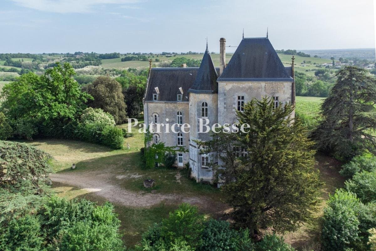 Neo-Gothic Château Overlooking Vineyards in 25 Hectares of Parkland 2