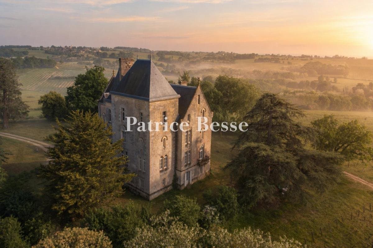 Neo-Gothic Château Overlooking Vineyards in 25 Hectares of Parkland 3