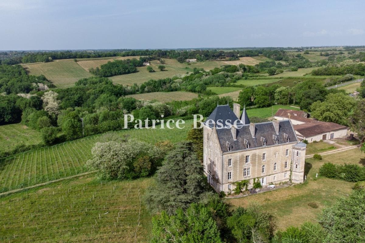Neo-Gothic Château Overlooking Vineyards in 25 Hectares of Parkland 4