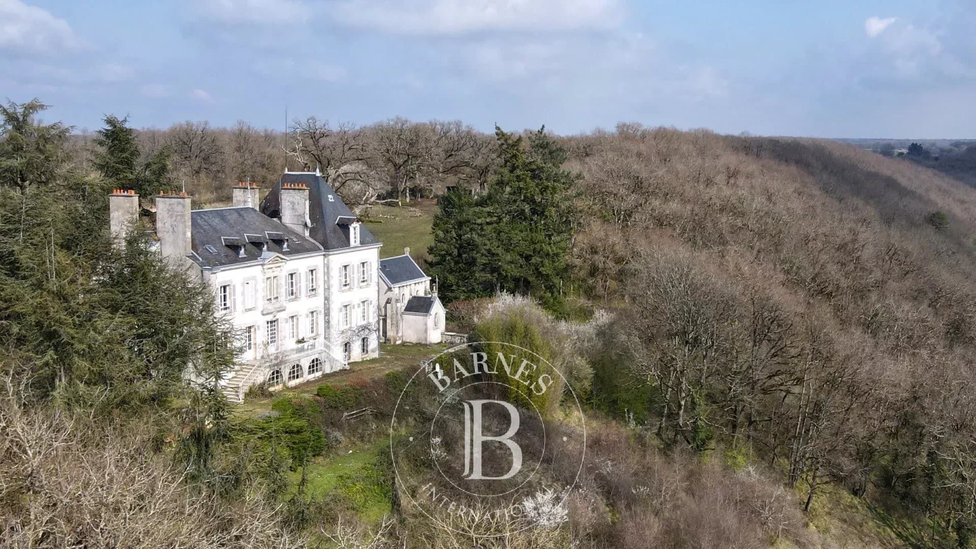 Majestic Château Overlooking the Creuse Valley with Chapel and Gîtes 4