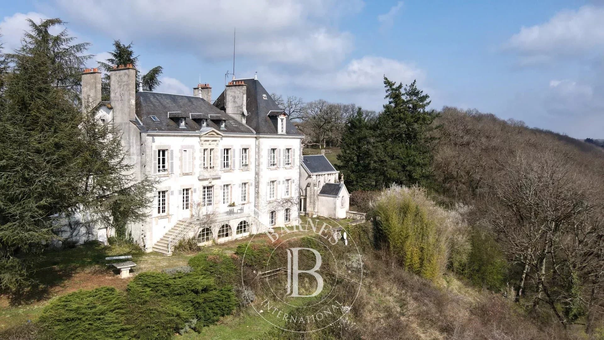 Majestic Château Overlooking the Creuse Valley with Chapel and Gîtes 5
