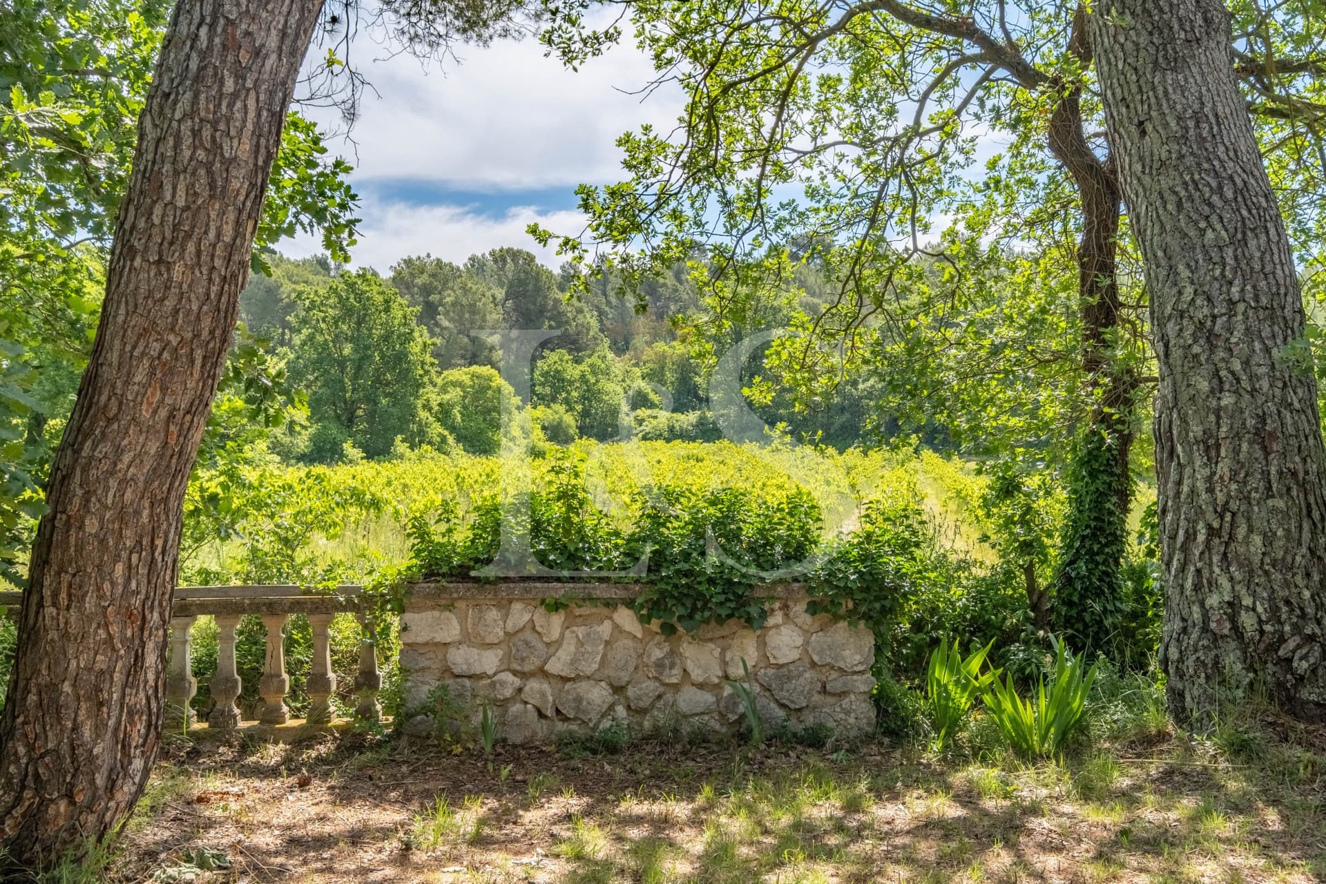 Elegant 18th Century Bastide With Vineyard And Expansive Grounds 3