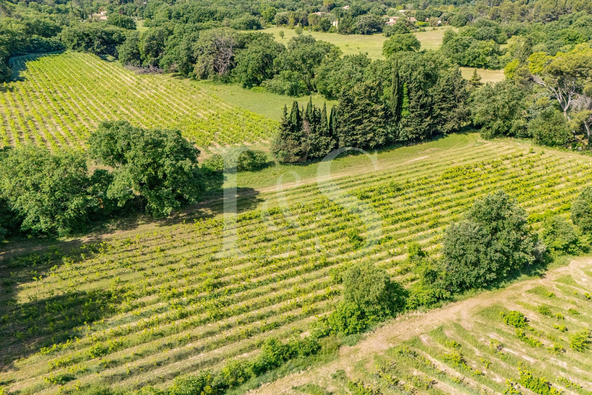 Elegant 18th Century Bastide With Vineyard And Expansive Grounds 4