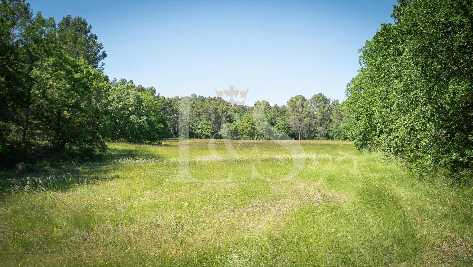 Elegant 18th Century Bastide With Vineyard And Expansive Grounds 5