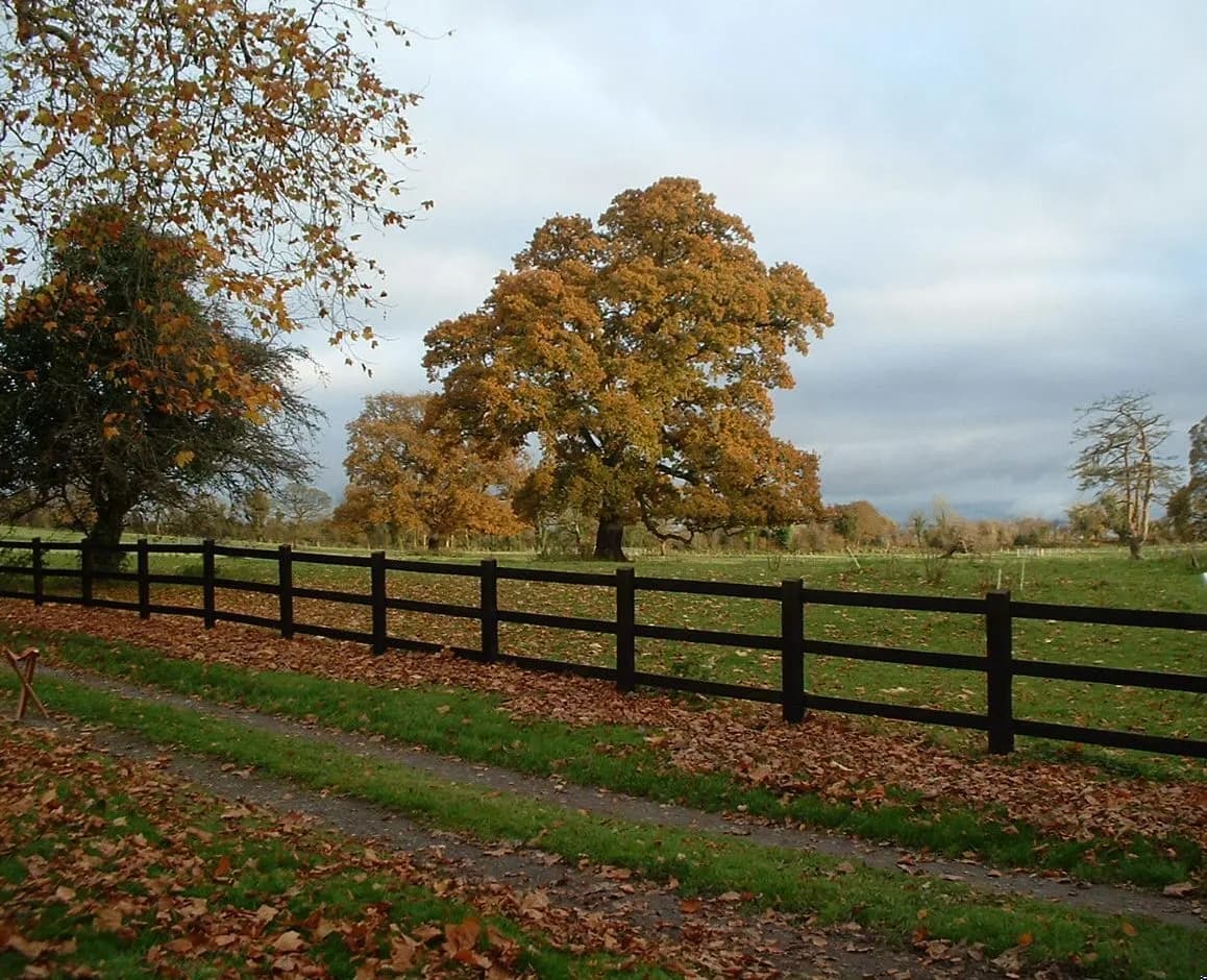 Exceptional Georgian Manor House Set Within 39 Acres of Parkland 5