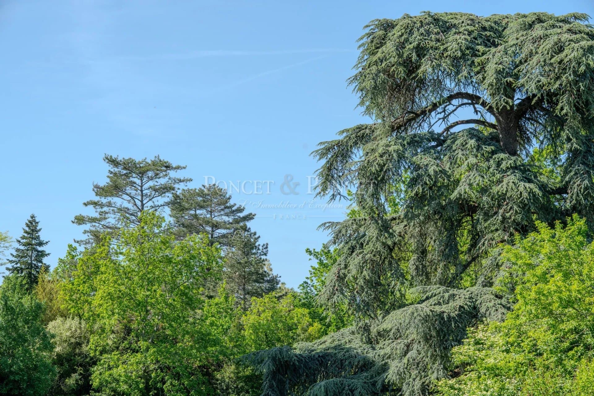 Elegant 19th Century Château With Swimming Pool And Panoramic Views 5