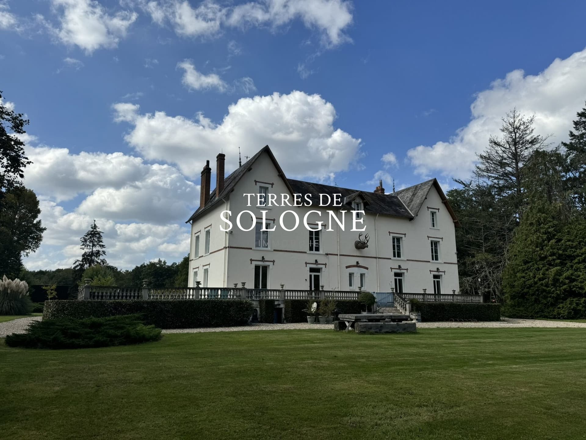 Elegant Château with 8 Bedrooms and Heated Pool on 77 Hectares