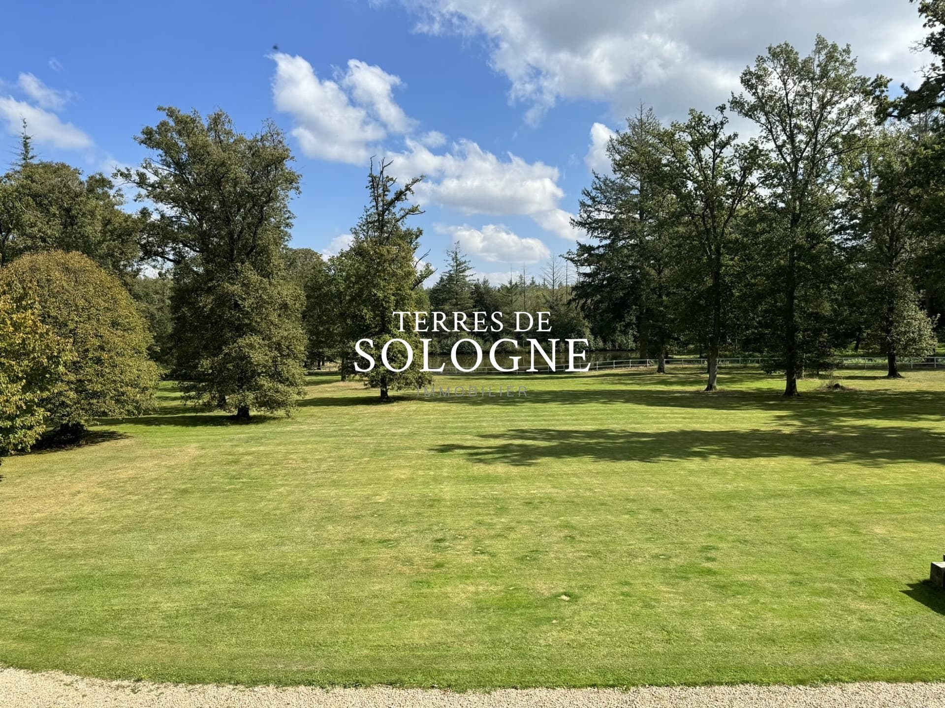 Elegant Château with 8 Bedrooms and Heated Pool on 77 Hectares 2