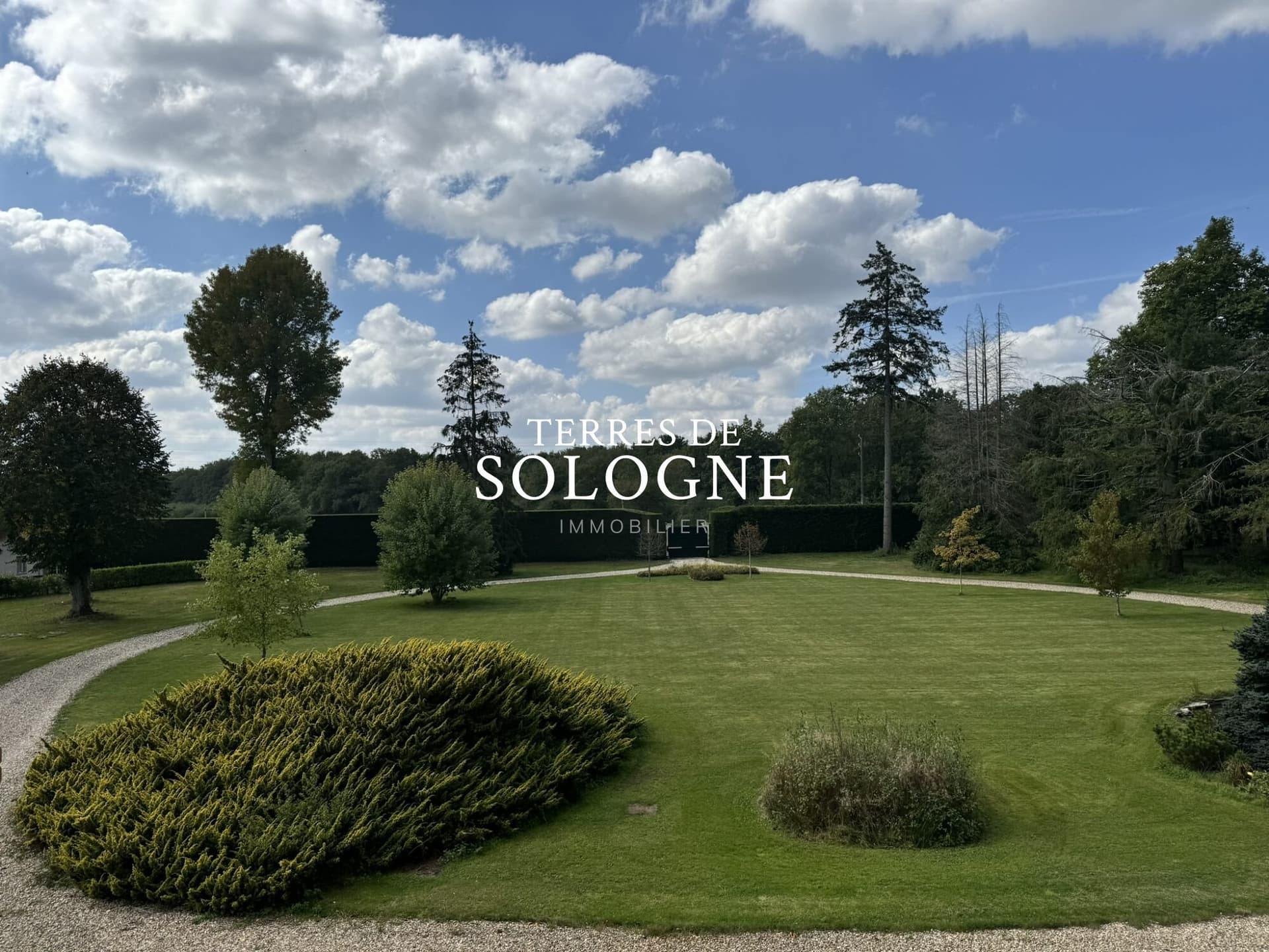 Elegant Château with 8 Bedrooms and Heated Pool on 77 Hectares 3