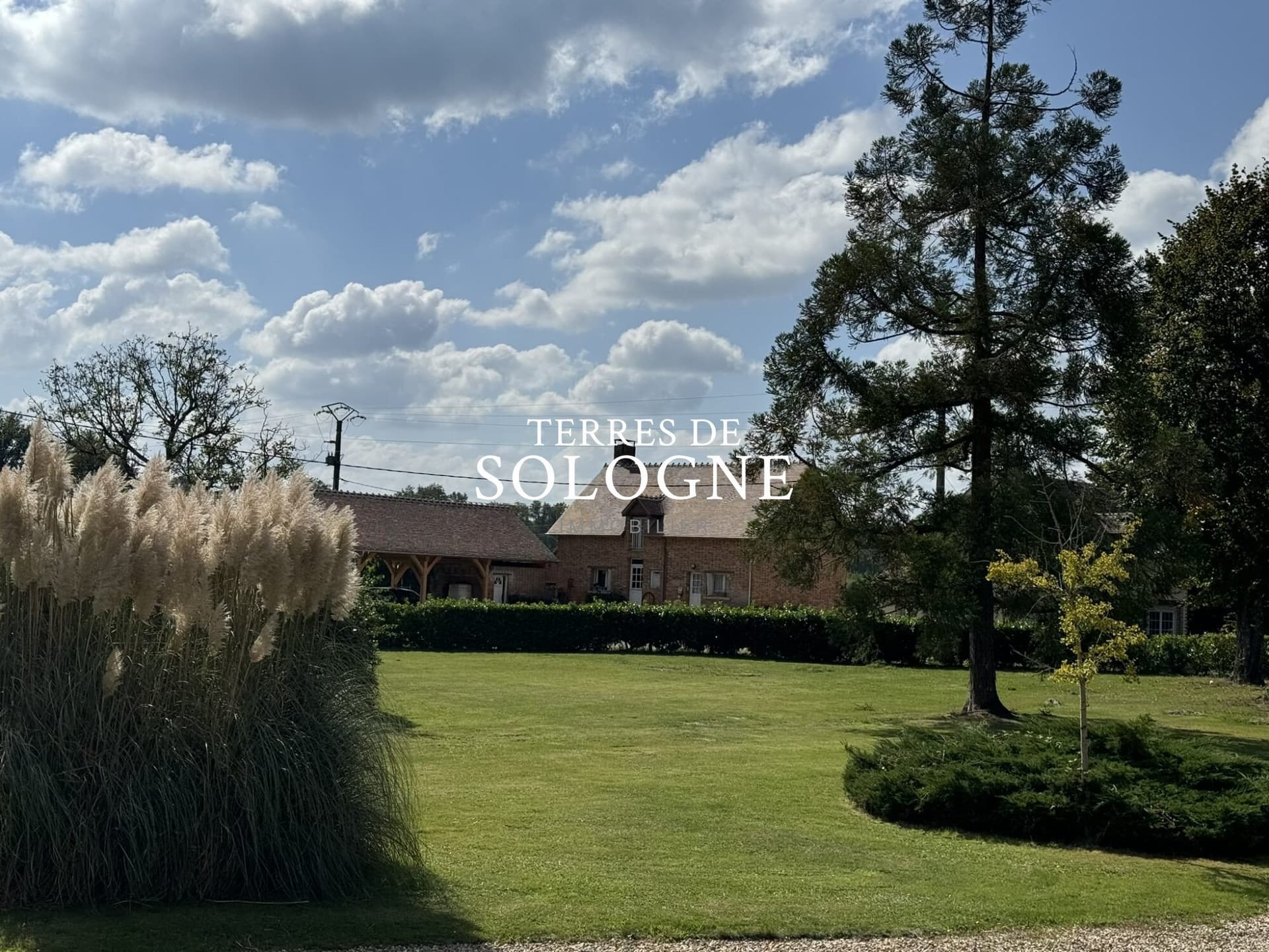 Elegant Château with 8 Bedrooms and Heated Pool on 77 Hectares 4