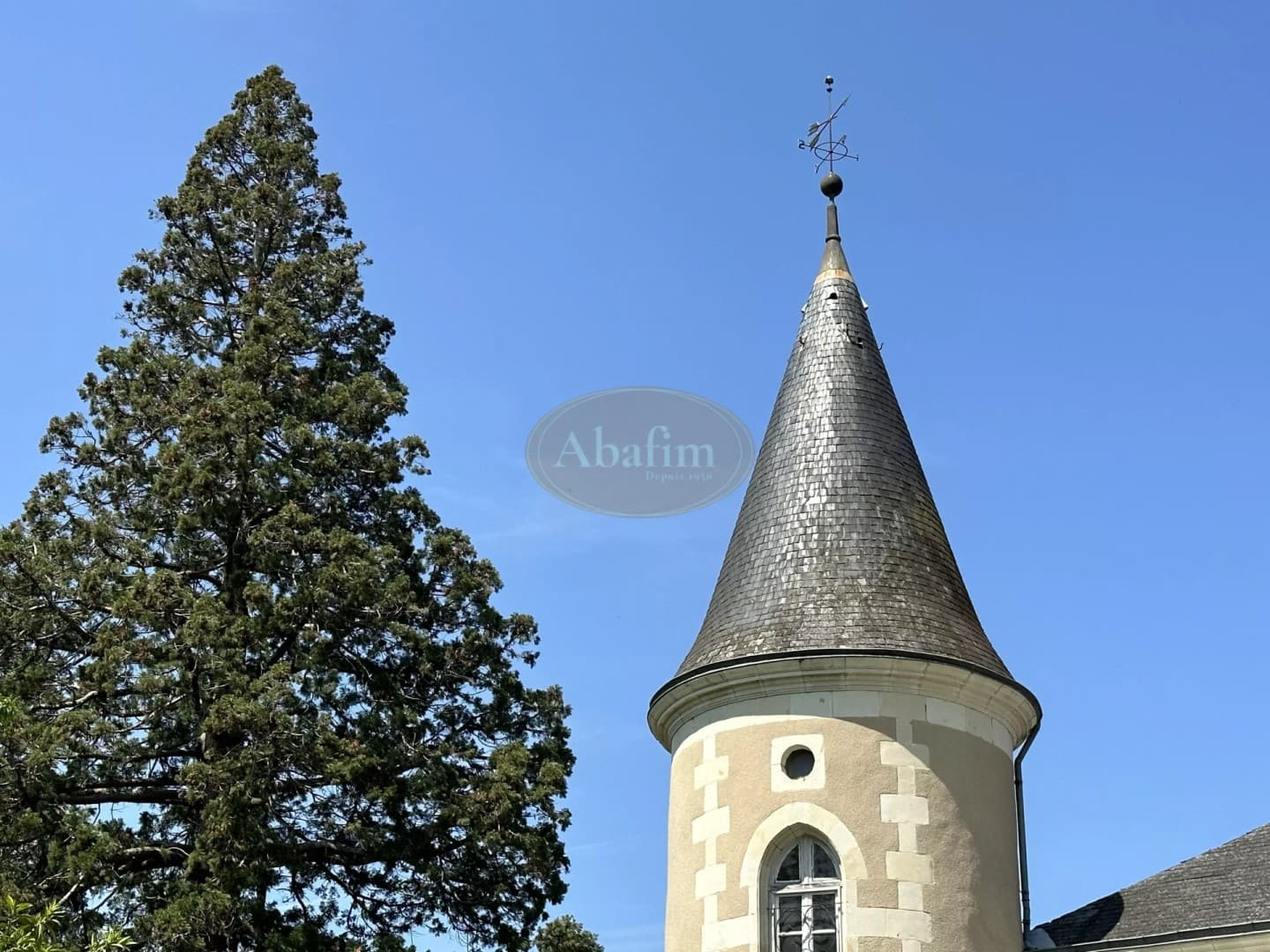 Magnificent 19th Century Castle With Gîte And Heated Pool 4