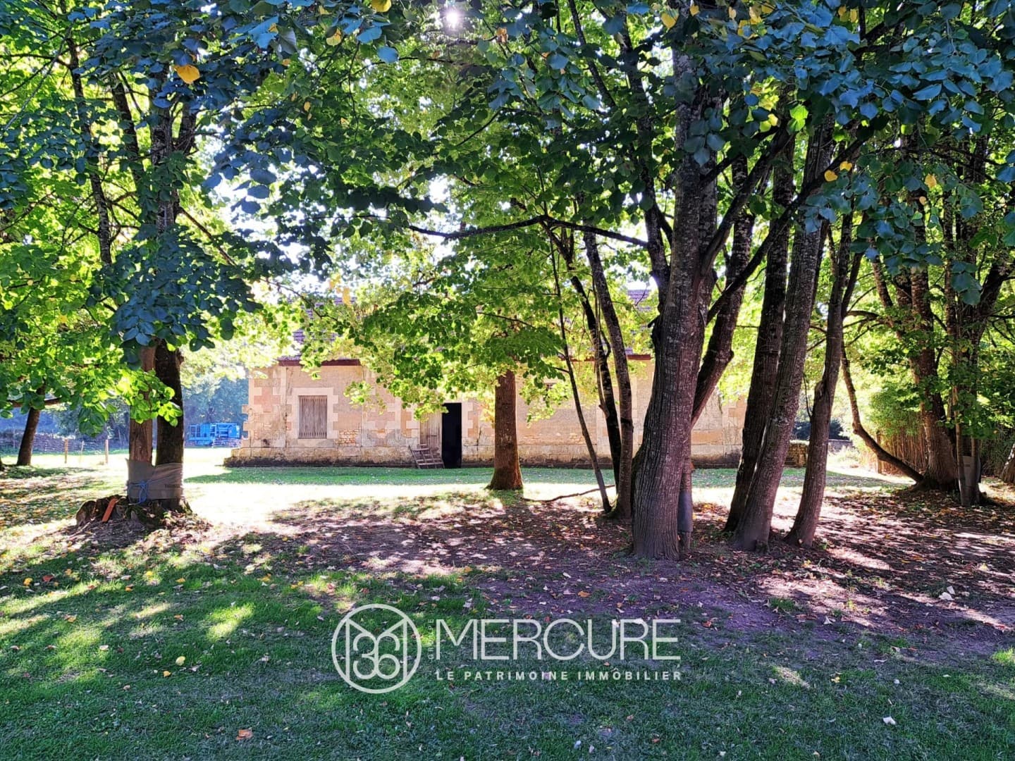 Château with 600 Sqm Living Space and 10 Bedrooms in a Lush Setting 3