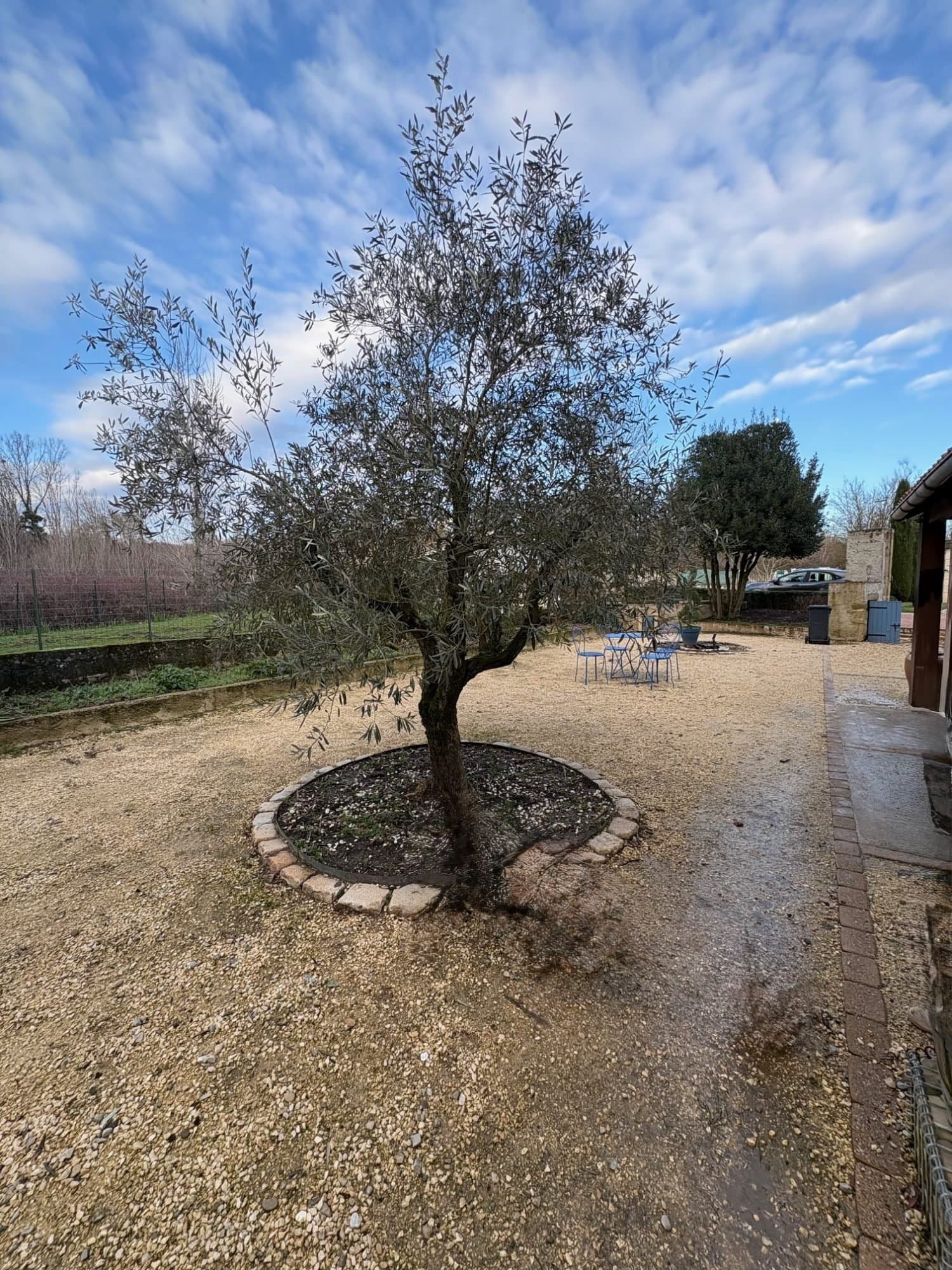Château With Historical Charm And Spacious Park 5