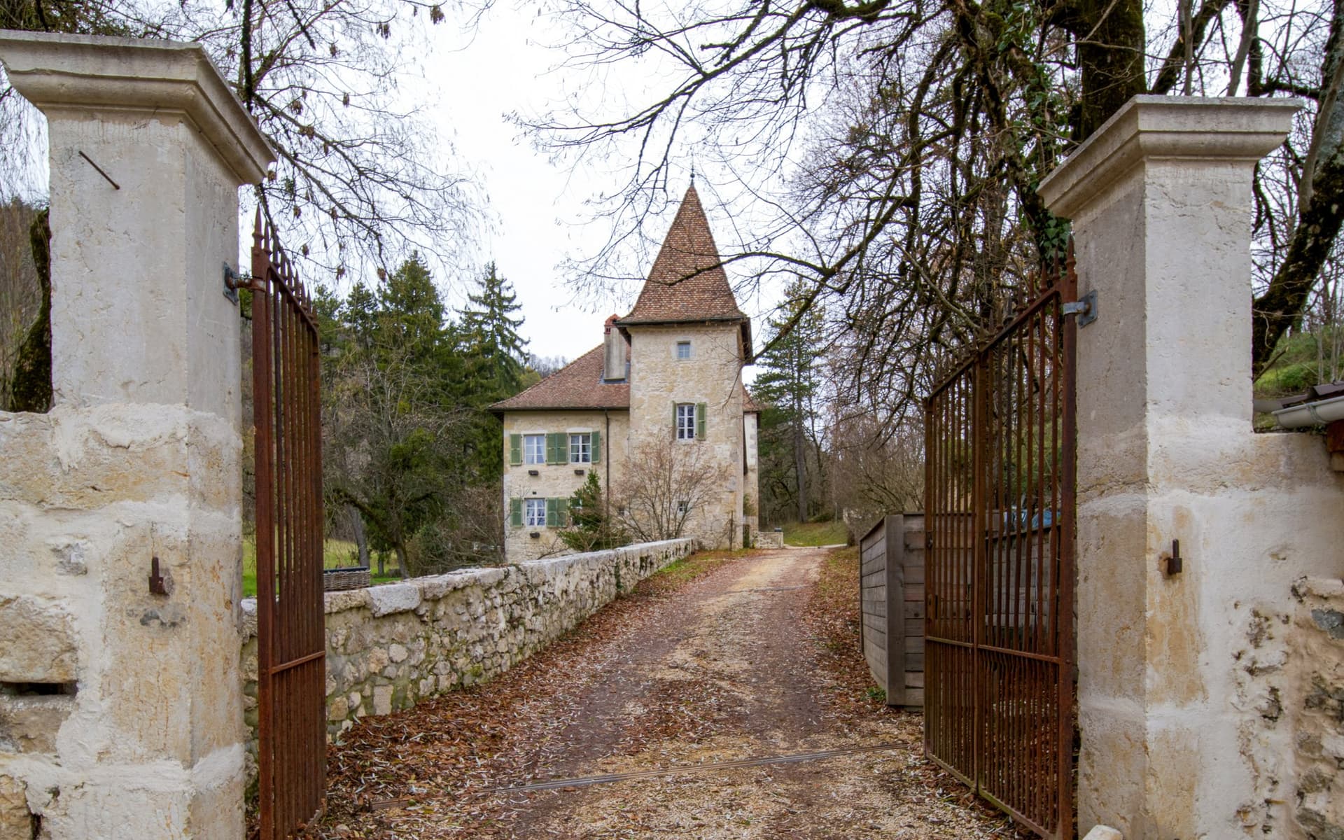 Historic Château With Swimming Pool Near Geneva 2