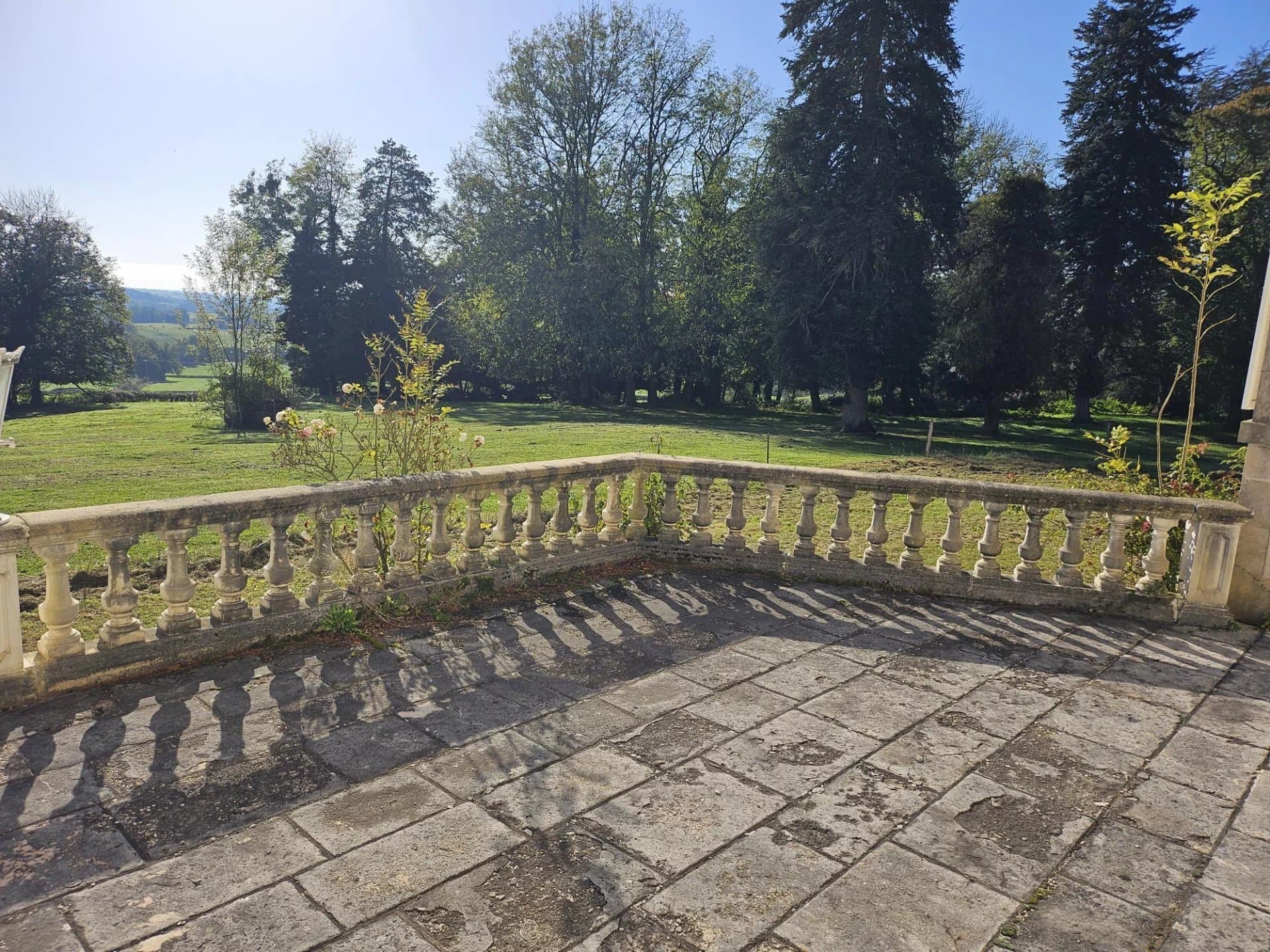 Magnificent Castle With 7 Bedrooms And Expansive Wooded Grounds 5