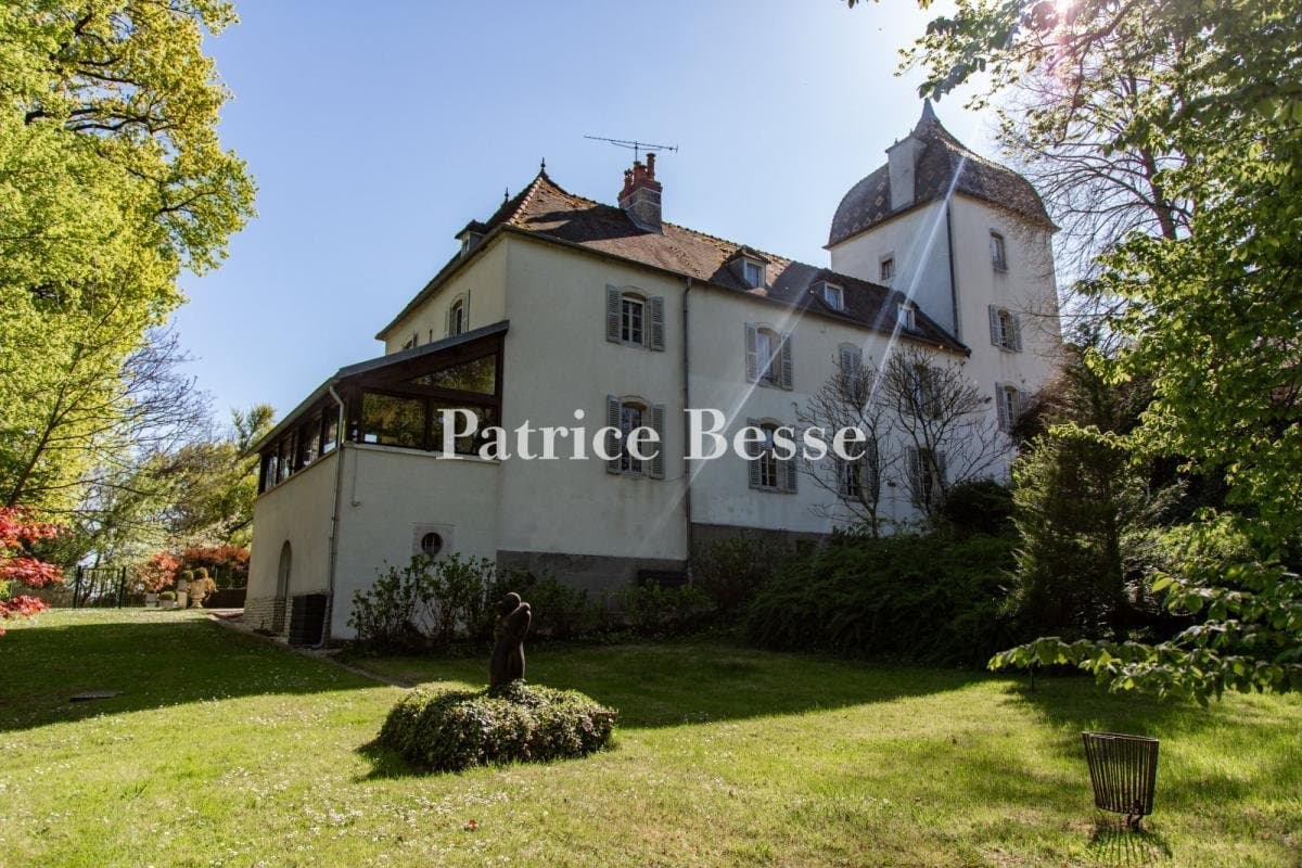 19th Century Château With Guest Accommodations And Swimming Pool 4