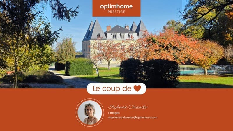 Château with Gîtes and Swimming Pool in Verdant Setting — Château for sale in France