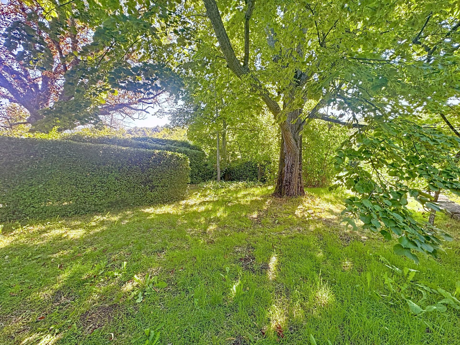 Charming 18th Century House With Hundred-Year-Old Trees 5