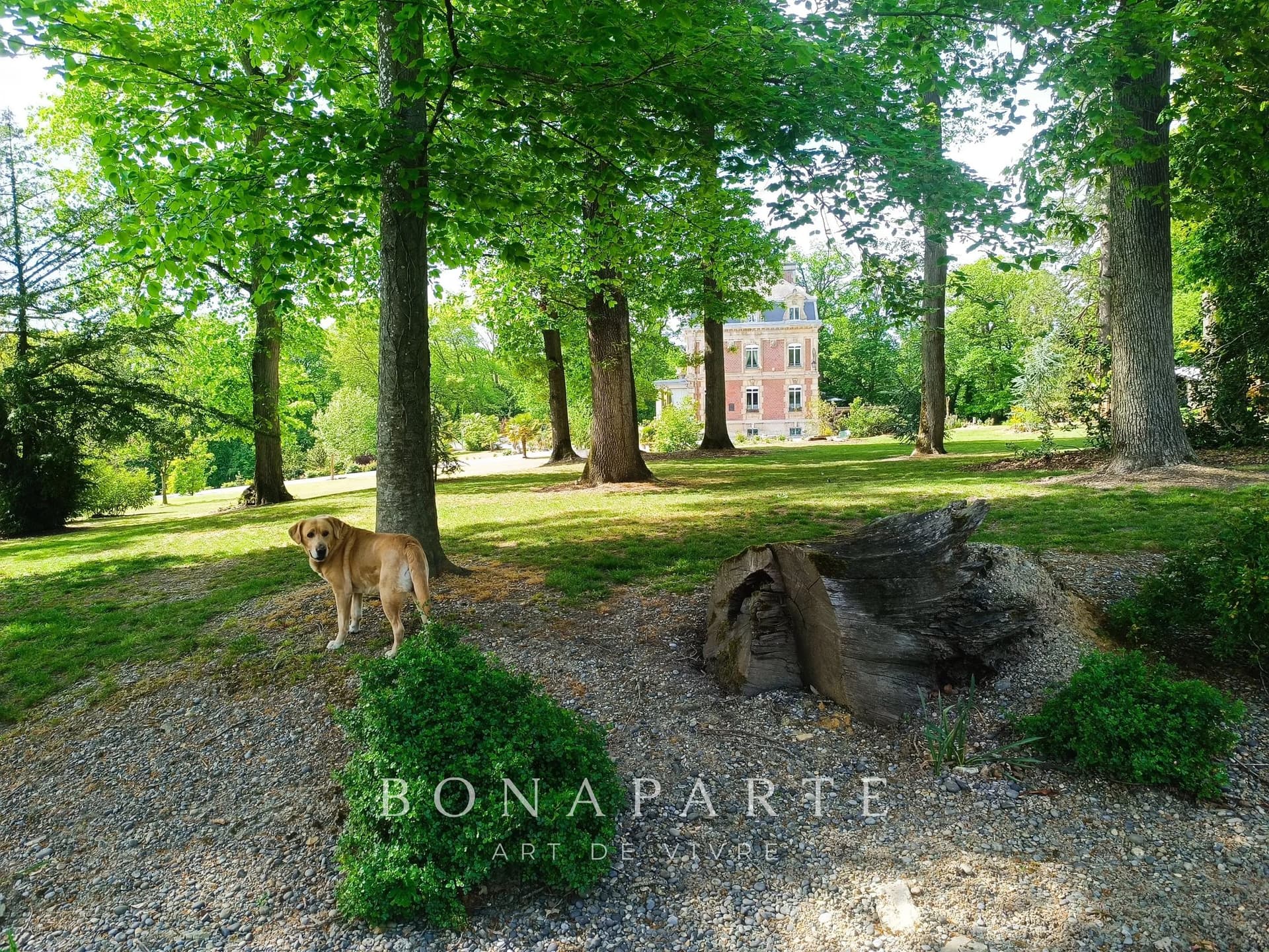 Elegant Castle With 10 Bedrooms And Modern Amenities 5