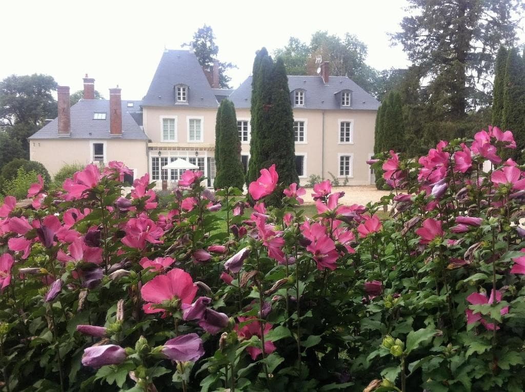 Historic 17-Room Castle With Terrace And Cellar — in Sologne, France