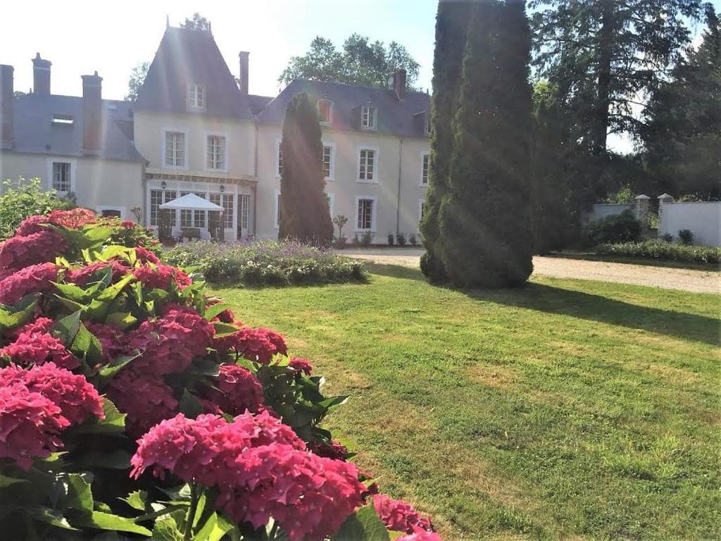 Historic 17-Room Castle With Terrace And Cellar 3