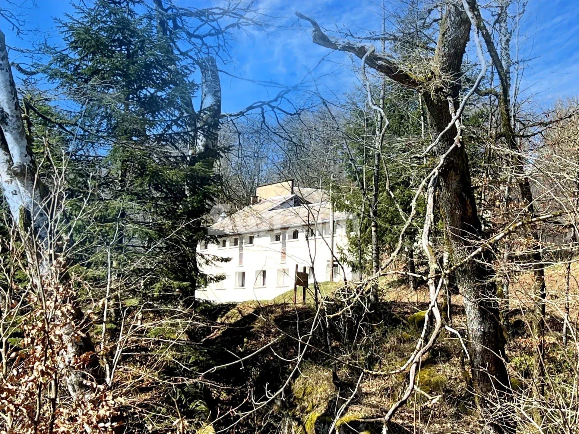 Château With Pond And Tennis Courts In A 15 Hectare Estate 3