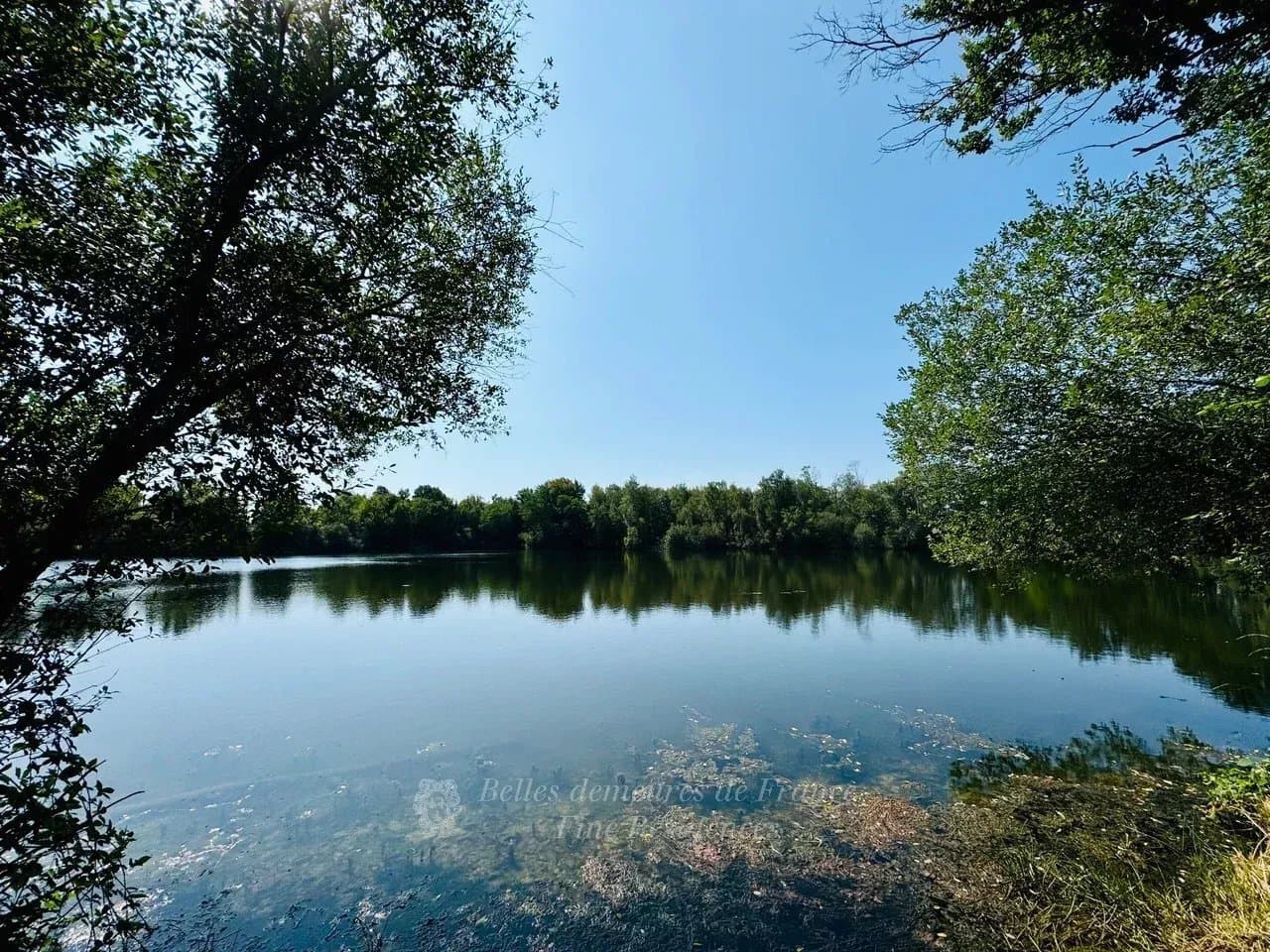 Elegant Château with Heated Saltwater Pool in a 1.65 Hectare Park 3
