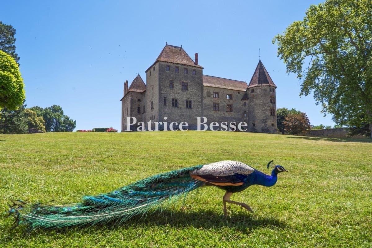 Historic 13th Century Château With Gardens And Towers 2