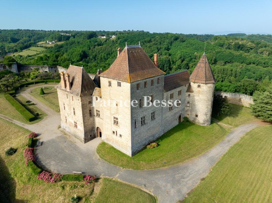Historic 13th Century Château With Gardens And Towers 3