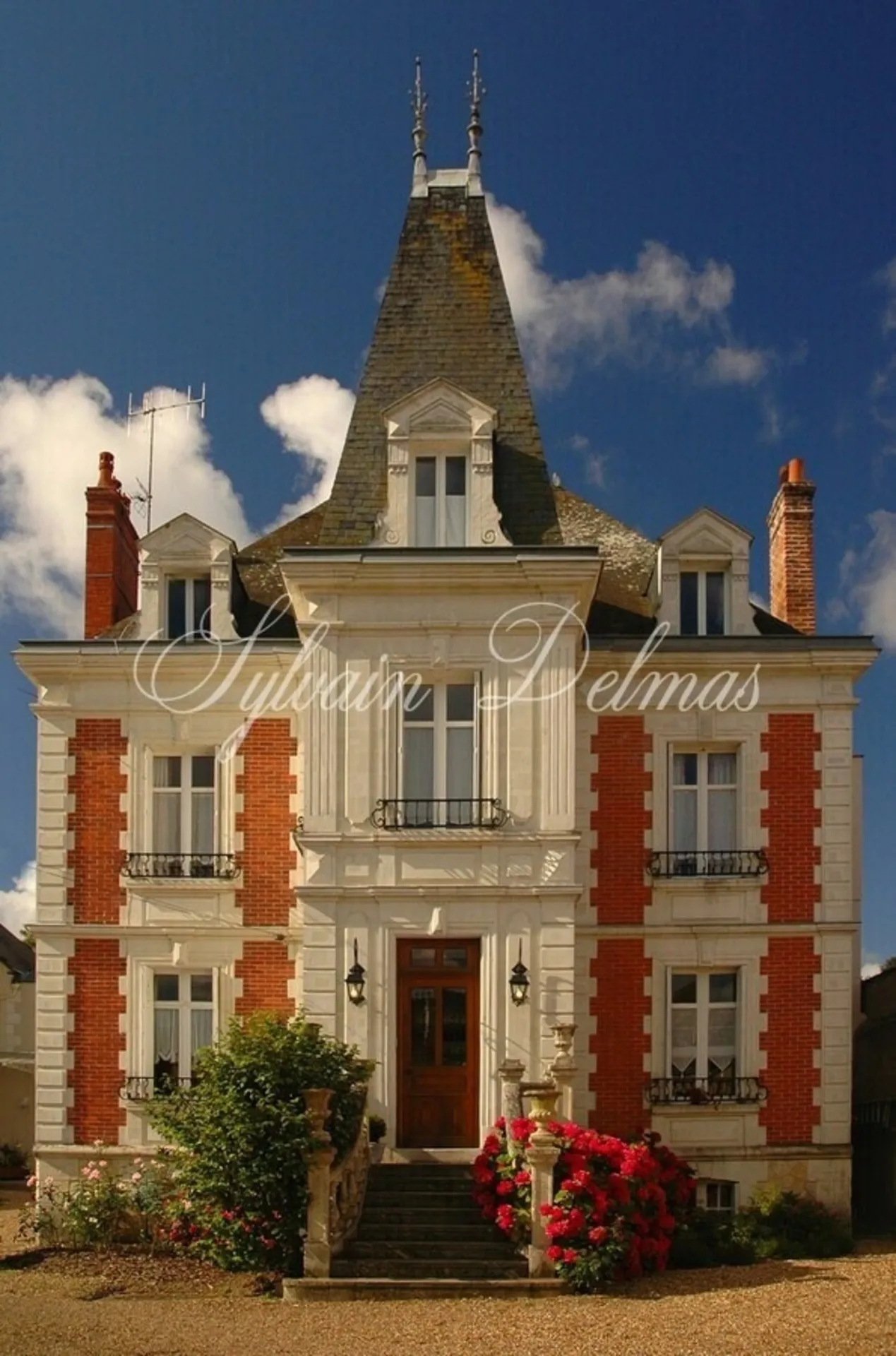 Charming Hotel with 20 Rooms and Pool in Amboise