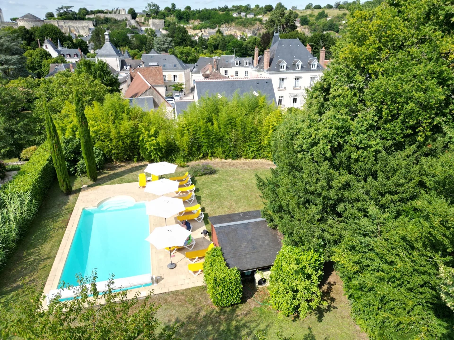 Charming Hotel with 20 Rooms and Pool in Amboise 2