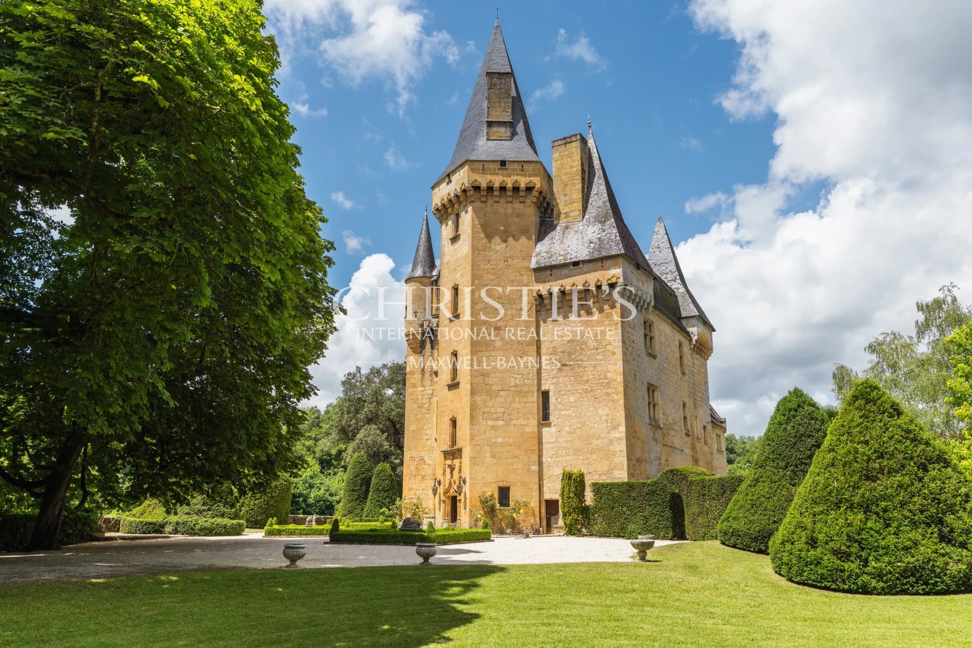 Magnificent Château Overlooking the River Vézère with 9 Bedrooms — Château for sale in France