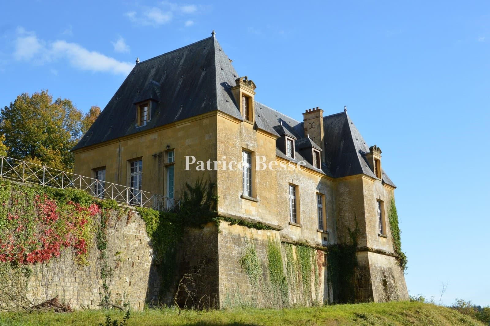 Historic Castle with 7 Hectares of Parklands in Argonne-Ardennaise 5