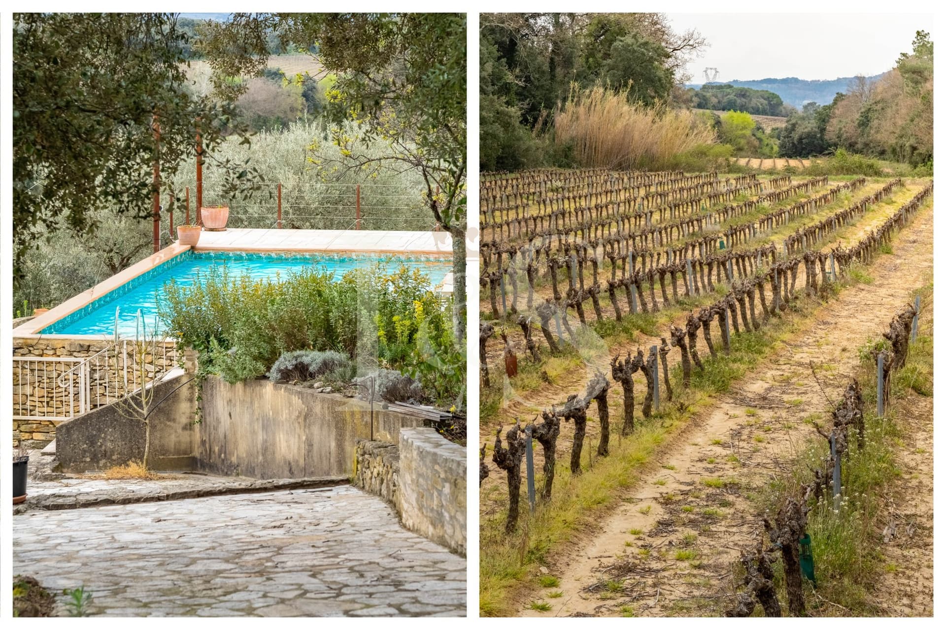 Charming Farmhouse With Gîtes And Vineyard In Tranquil Gard 2