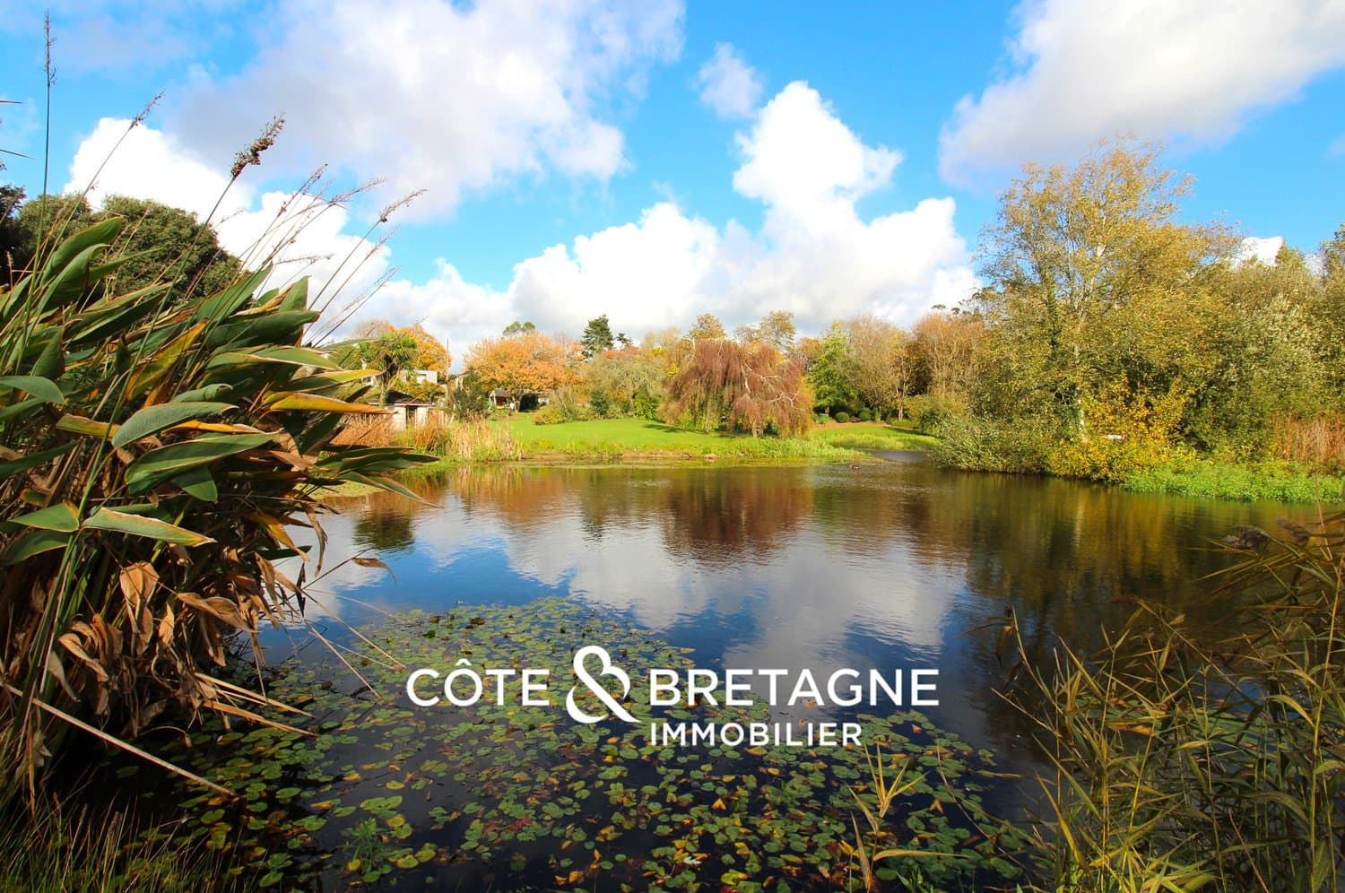 Charming Estate With Cottages, Reception Hall, And Heated Pool 4