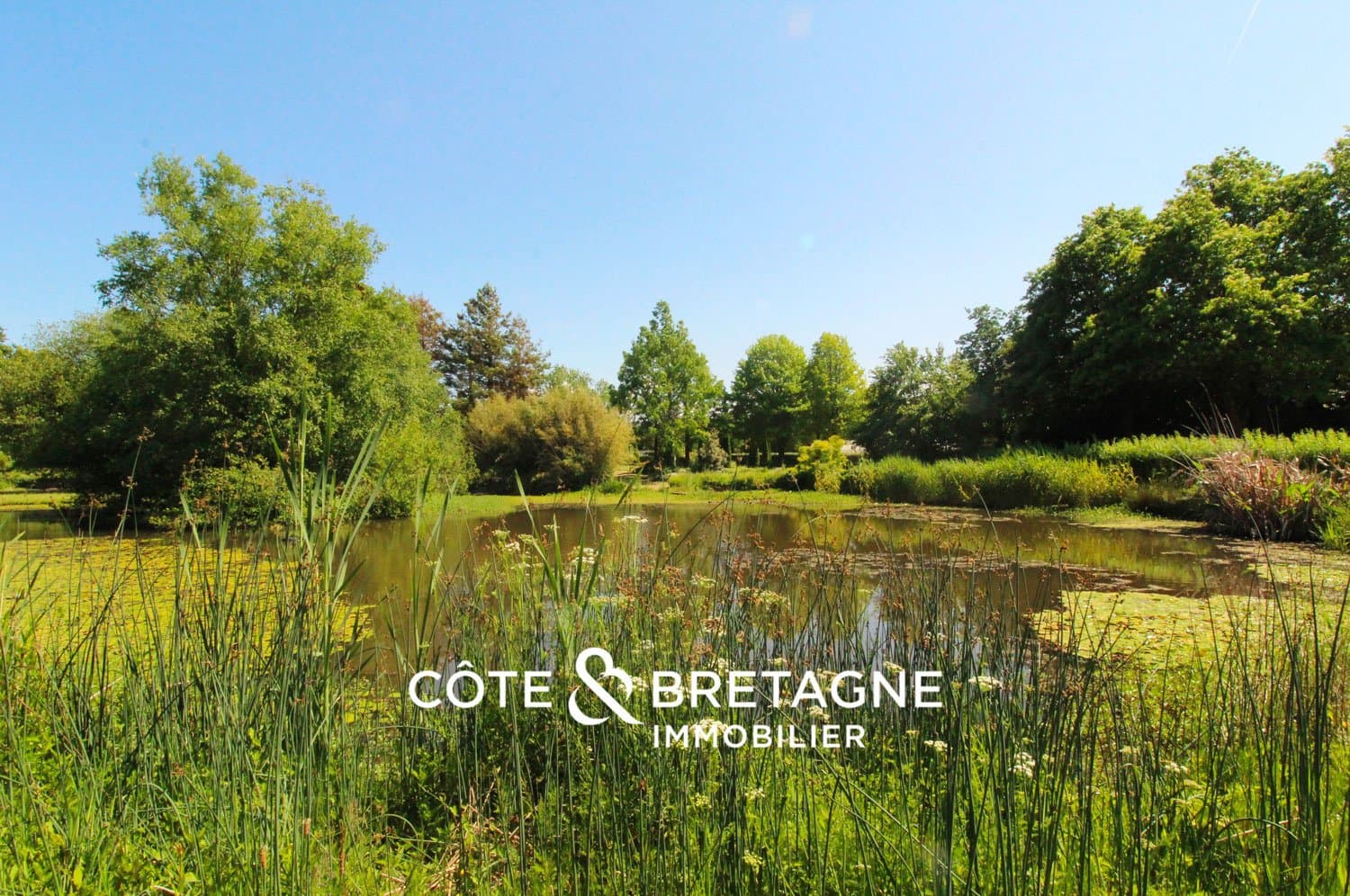 Charming Estate With Cottages, Reception Hall, And Heated Pool 5