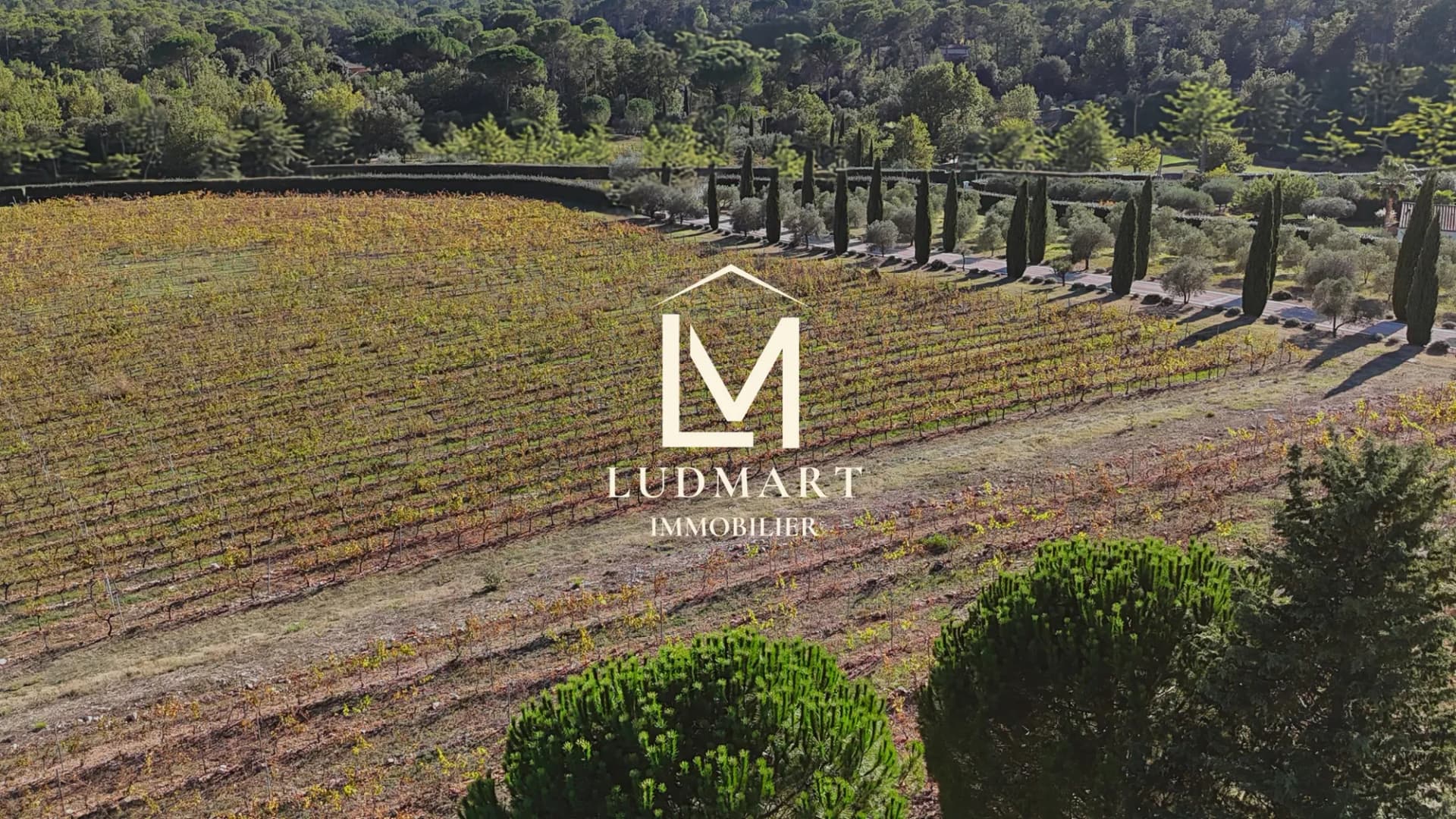 House With Open Views Over 7 Hectares Of Vineyards Near Draguignan 3