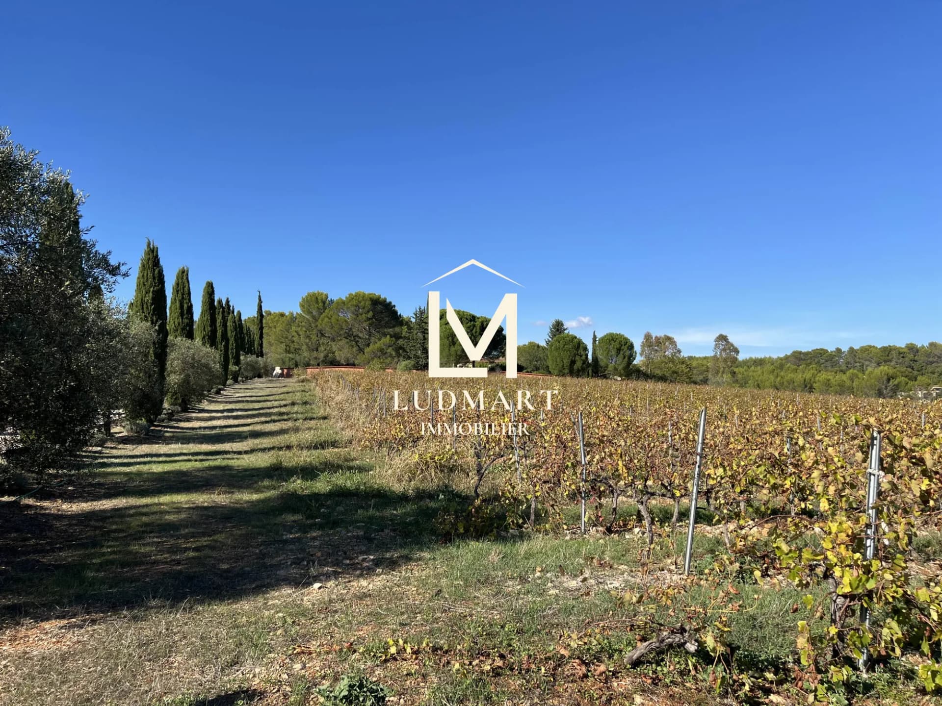 House With Open Views Over 7 Hectares Of Vineyards Near Draguignan 4