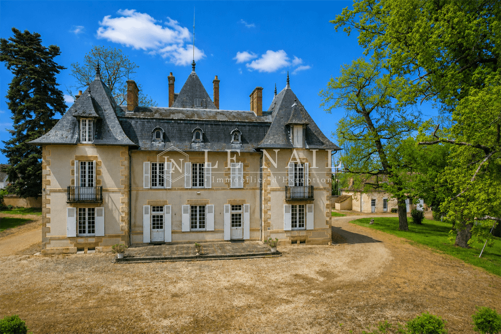 Elegant Château with 9 Bedrooms and Wooded Park in Bourbonnais — Château for sale in Auvergne-Rhône-Alpes, France