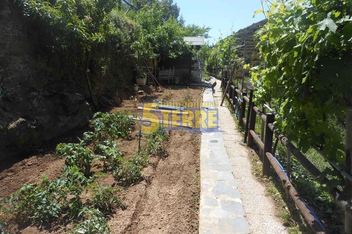 Castles for sale in Riviera di Levante