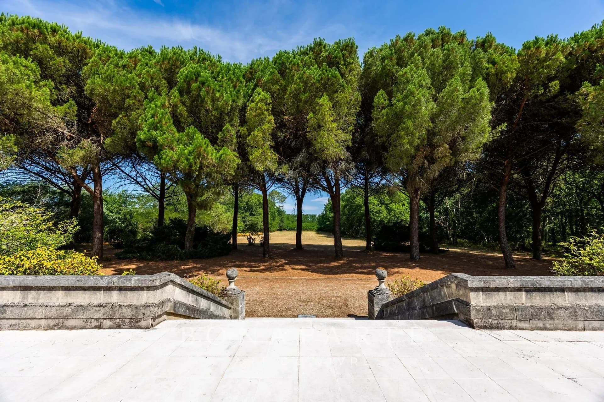 Exceptional Chartreuse Estate in Médoc's Wine Region 2