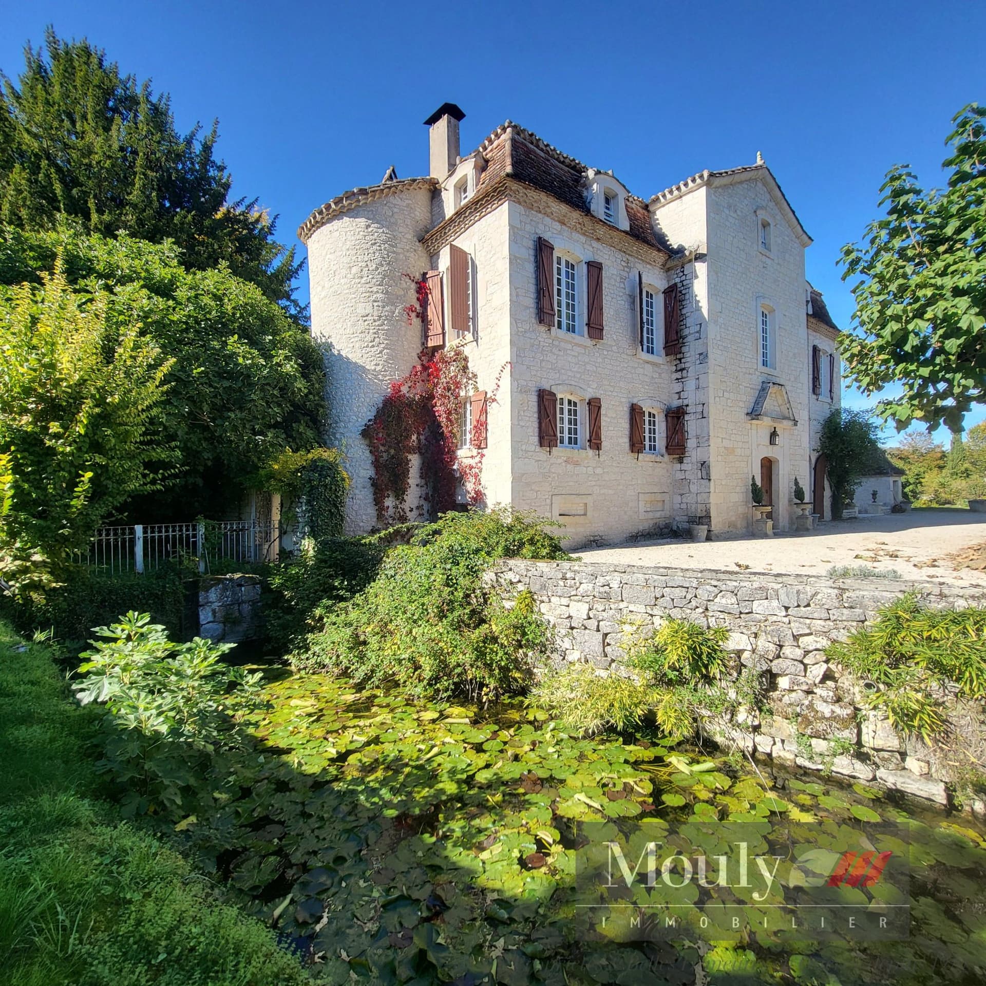 Historic Castle with 6 Bedrooms and Scenic Views 4