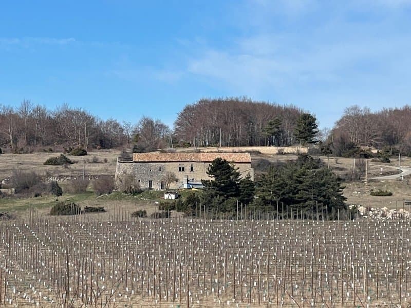 Château With Renovation Potential Surrounded By 100 Hectares Of Nature — Château for sale in France